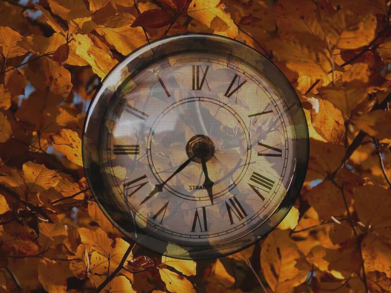 ¿Dónde poder comprar reloj color relojes reloj color oro mujer?