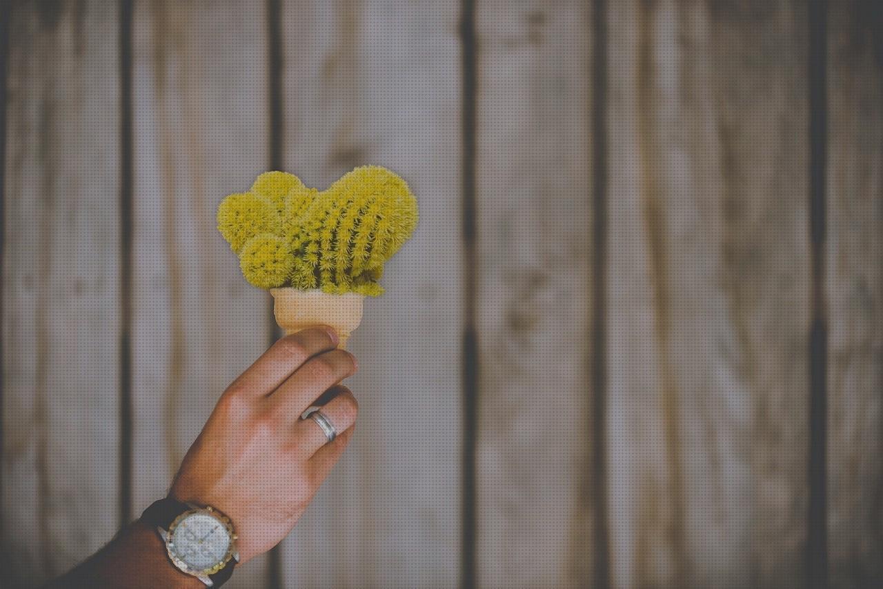 Análisis de los 35 mejores Relojes De Hombres Con Esferas Amarillas