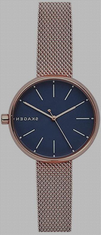 Las mejores marcas de skagen reloj reloj de mujer skagen signatur skw2692 de malla de acero