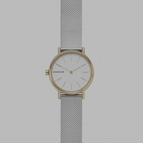 Los 26 Mejores Relojes De Mujeres Skagen Skw2729 De Aceros