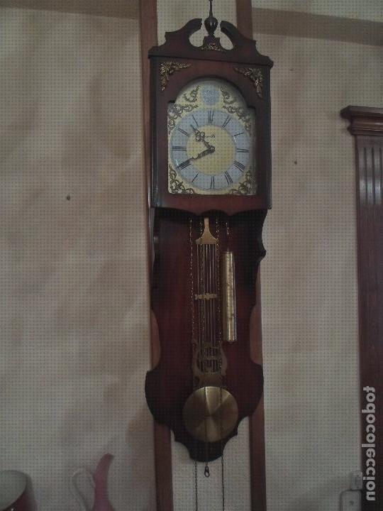 Los mejores 14 Relojes Tempus Fugit Paredes